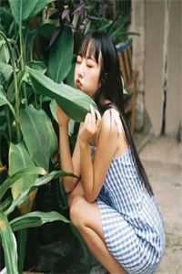 婚书难寄，无岸之秋顾向阳青梅结局+番外